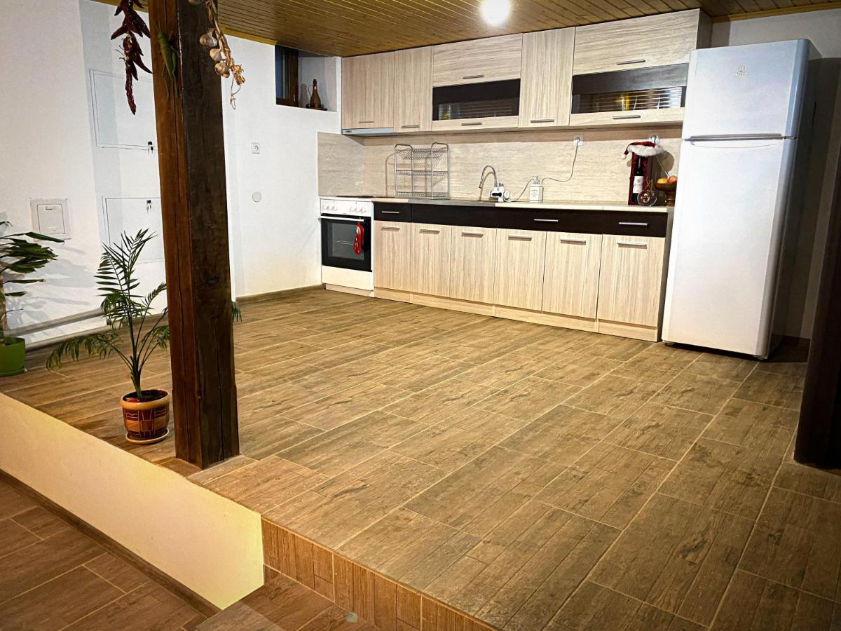 Старият Дюкянь Villa Elena Exteriör bild